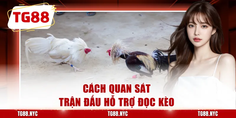 Cách quan sát trận đấu hỗ trợ đọc kèo