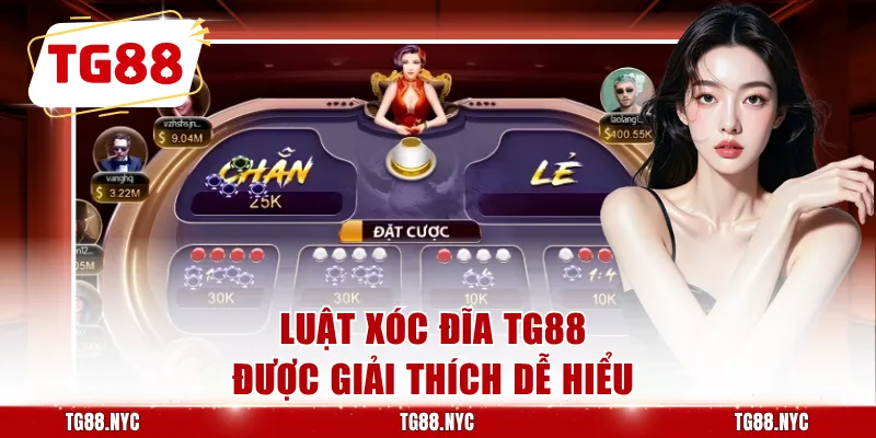 Luật xóc đĩa TG88 được giải thích dễ hiểu