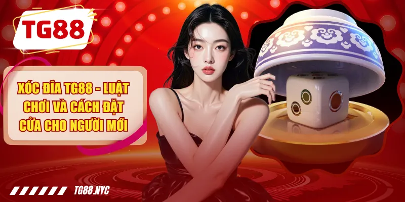 Xóc Đĩa TG88 - Luật Chơi Và Cách Đặt Cửa Cho Người Mới